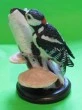 Woodpecker resin bird figurine